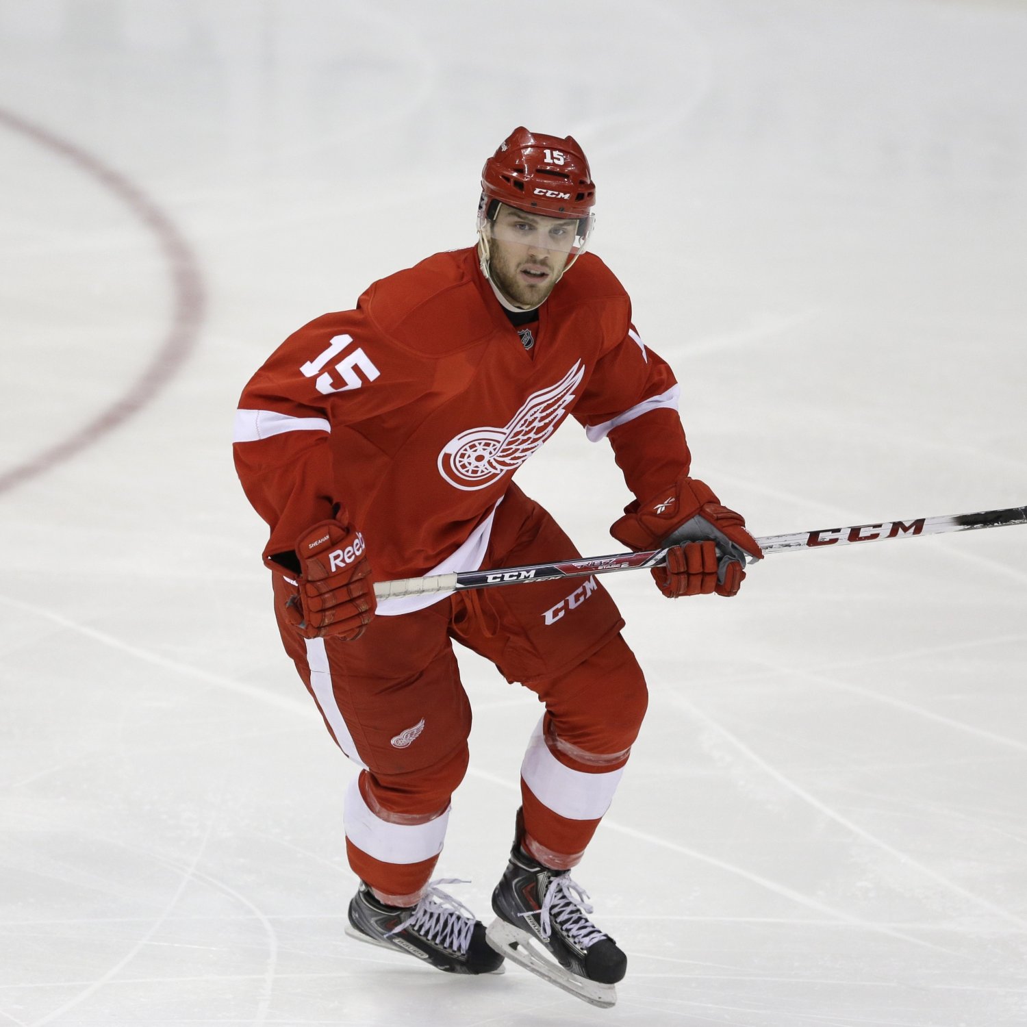 Detroit Red Wings Forward Riley Sheahan Living Up to DraftDay Promises