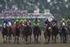 10 Mar 2001: The starting field heads down the front straight away during Florida Derby at Gulfstream Park in Hallandale, Florida. <DIGITAL IMAGE> Mandatory Credit: Matthew Stockman/ALLSPORT