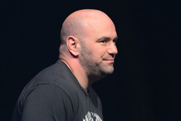 UFC Has Successfully Sued at Least One Person for Watching Streams