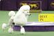Ally, a standard poodle, competes in the best in show round during the Westminster Kennel Club dog show, Tuesday, Feb. 11, 2014, in New York. Ally was chosen as the runner-up. (AP Photo/Frank Franklin II)