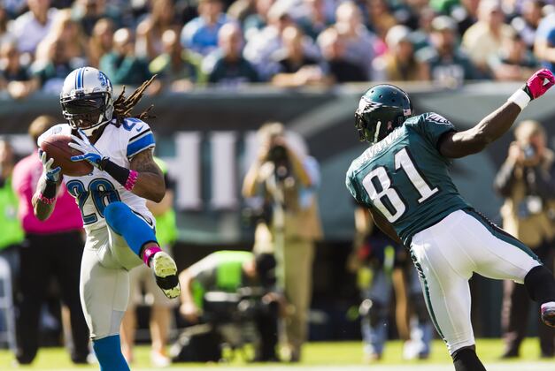 Steelers Hosting Louis Delmas