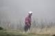 Tiger Woods walks to the sixth hole as some fog rolls in during a practice round for the PGA Championship golf tournament Tuesday, Aug. 10, 2010, at Whistling Straits in Haven, Wis. (AP Photo/Charlie Neibergall)
