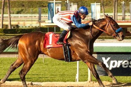 Will Bayern Be the Horse to Break the Jinx?