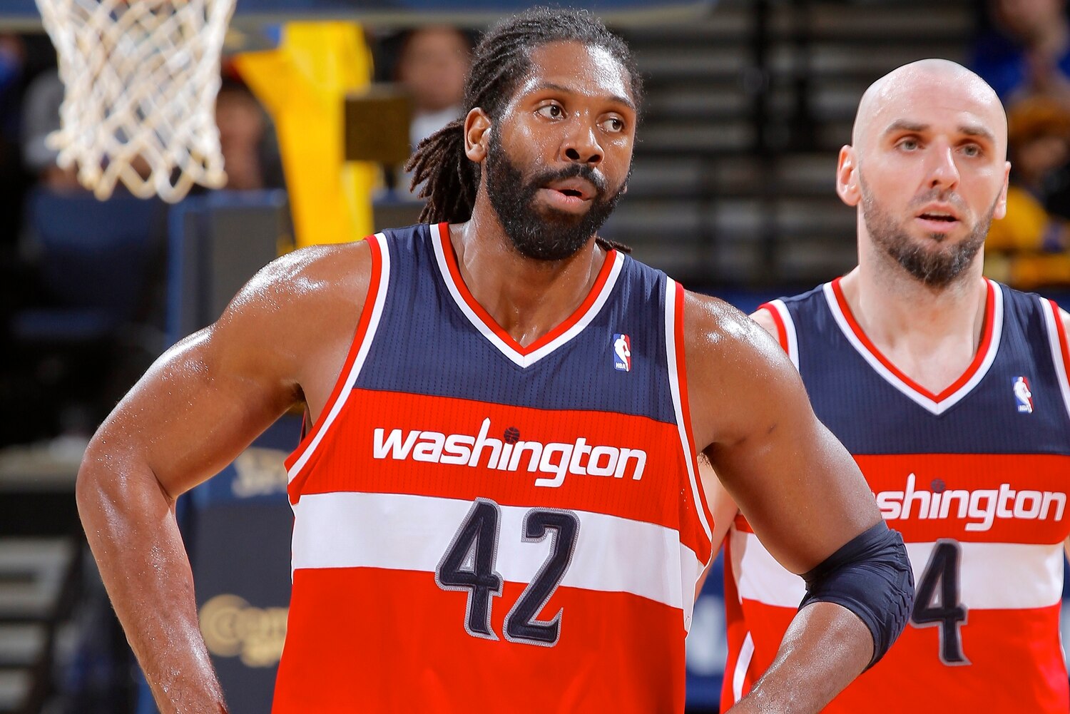 Best Potential Nene Replacement Options for Washington