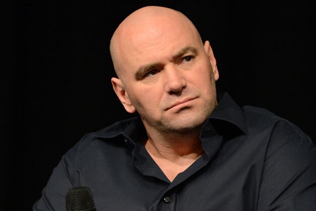 UFC Missteps Cited as Problem with MMA Legalization in New York