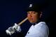 LAKELAND, FL - FEBRUARY 23: Miguel Cabrera #24 of the Detroit Tigers poses for a portrait during photo day on February 23, 2014 at Joker Marchant Stadium in Lakeland, Florida. (Photo by Kevin C. Cox/Getty Images)