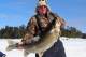 In this photo provided by Rob Scott and taken on Feb. 8, 2014, Rob Scott, of Crane Lake, Minn., poses with a 52-pound 3-ounce lake trout he caught while ice fishing on Lac la Croix on the Minnesota-Ontario border near Crane Lake, Minn. The fish was caught about 100 feet on the Canadian side of the lake. If caught in Minnesota, it easily would have been a state record. (AP Photo/Rob Scott)
