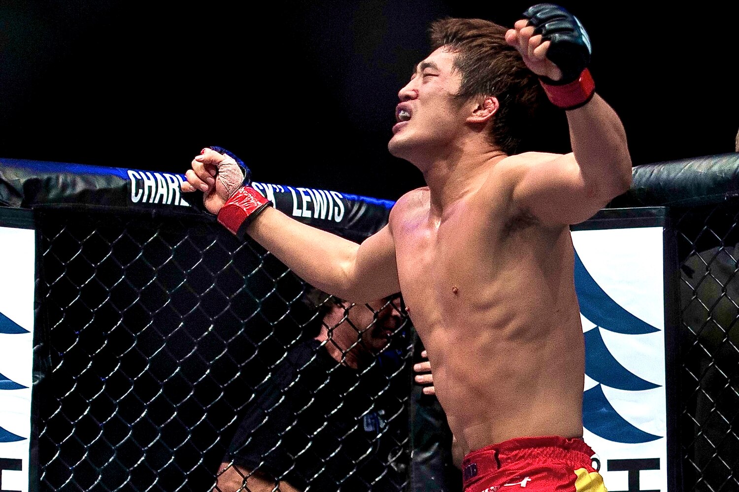 UFC Rankings for Each Weight Division Following TUF China Finale | Bleacher Report