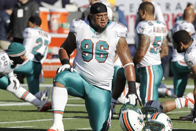 Dolphins Decline to Play Tag