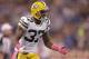 Could losing cornerback Sam Shields in free agency derail the Packers' 2014 season before it even begins?