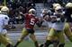 Notre Dame quarterback Everett Golson throws a pass during the Blue Gold game in April 20,2013 in South Bend, Ind. (AP Photo/Joe Raymond)