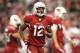 GLENDALE, AZ - DECEMBER 18: Wide receiver Andre Roberts #12 of the Arizona Cardinals during the NFL game against the Cleveland Browns at the University of Phoenix Stadium on December 18, 2011 in Glendale, Arizona. The Cardinals defeated the Browns 20-17 in overtime. (Photo by Christian Petersen/Getty Images)