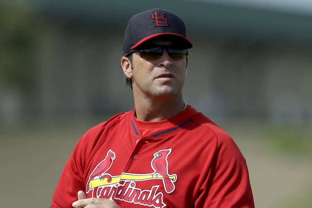 Matheny Eager to See Newly Signed Diaz in Games
