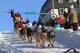 The Iditarod Trial Sled Dog Race finish banner is raised above the burled arch finish line in Nome, Alaska, on Monday, March 10, 2014. The race winner is expected some time early Tuesday, March 11, 2014. (AP Photo/Mark Thiessen)