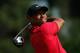 DORAL, FL - MARCH 09: Tiger Woods hits his tee shot on the seventh hole during the final round of the World Golf Championships-Cadillac Championship at Trump National Doral on March 9, 2014 in Doral, Florida. (Photo by Chris Trotman/Getty Images)