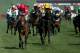 CHELTENHAM, ENGLAND - MARCH 14: Daryl Jacob rides Lac Fontana to victory in the Vincent O'Brien County Handicap Hurdle on Gold Cup day at the Cheltenham Festival at Cheltenham Racecourse on March 14, 2014 in Cheltenham, England. (Photo by Andrew Redington/Getty Images)
