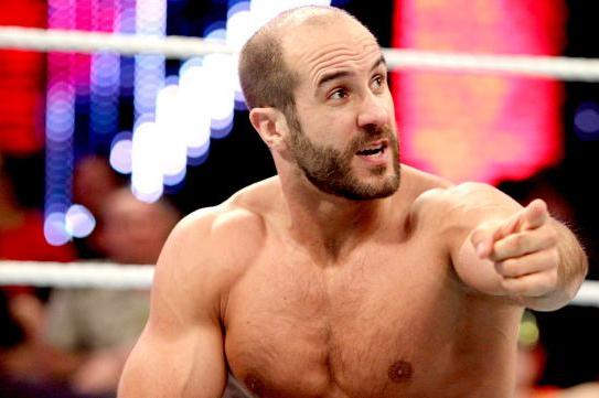 [Dar Rumo #21] Cesaro D2579b5bd0a03dd22b0178b977c72db0_crop_north