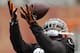 Cleveland Browns strong safety T.J. Ward catches a pass during practice at the NFL football team's facility in Berea, Ohio Wednesday, Nov. 6, 2013. (AP Photo/Mark Duncan)