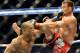 Hector Lombard lands a punch on Jake Shields during a UFC 171 mixed martial arts welterweight bout, Saturday, March. 15, 2014, in Dallas. Lombard won by decision. (AP Photo/Matt Strasen)