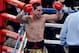 LAS VEGAS, NV - SEPTEMBER 14: Danny Garcia celebrates after the 12th round against Lucas Matthysse in their WBC/WBA super lightweight title fight at the MGM Grand Garden Arena on September 14, 2013 in Las Vegas, Nevada. (Photo by Ethan Miller/Getty Images)