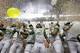 Oregon players celebrate the team's win over Texas in the Valero Alamo Bowl NCAA college football game, Monday, Dec. 30, 2013, in San Antonio. Oregon won 30-7. (AP Photo/Eric Gay)