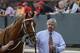 Thoroughbred trainer Steve Asmussen leads Tapiture to the paddock before the $600,000 Rebel Stakes horse race at Oaklawn Park in Hot Springs, Ark., Saturday, March 15, 2014. (AP Photo/Danny Johnston)