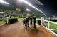 The Dubai World Cup is the richest single day's racing in the calendar.