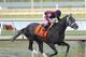 In this Jan. 25, 2014, file photo provided by Gulfstream Park, Cairo Prince, with jockey Luis Saez, captures the Holy Bull horse race at Gulfstream Park in Hallandale Beach, Fla. Prince is expected to be tabbed as the favorite Saturday, March 29, Florida Derby, one of the major prep races for the Kentucky Derby. (AP Photo/Gulfstream Park/Bob Coglianese Photos, Lauren King, File)