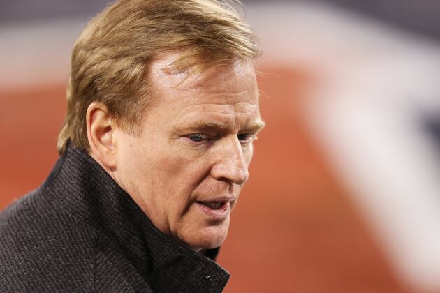 Roger Goodell Endorses Stadium Plan Proposed by Miami Dolphins...