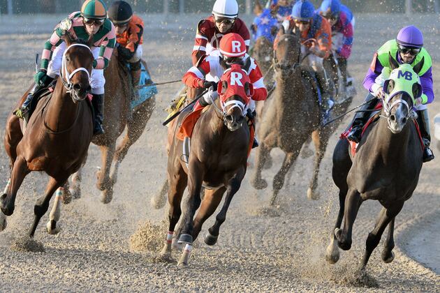 Louisiana Derby 2014 Results: Winner, Payouts and Order of Finish