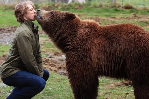 Here's A Photo Of David Booth French Kissing A Grizzly Bear