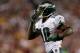 LANDOVER, MD - SEPTEMBER 09: Wide receiver DeSean Jackson #10 of the Philadelphia Eagles celebrates he scores a 25-yard touchdown in the first quarter against the Washington Redskins at FedExField on September 9, 2013 in Landover, Maryland. (Photo by Rob Carr/Getty Images)