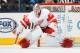 COLUMBUS, OH - MARCH 25: Goaltender Jimmy Howard #35 of the Detroit Red Wings defends the net against the Columbus Blue Jackets on March 25, 2014 at Nationwide Arena in Columbus, Ohio. (Photo by Jamie Sabau/NHLI via Getty Images)