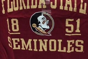 PHOTO: Is This the New Florida State Logo?