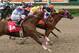 In this photo released by Hodges Photography, Gotta Run Miss with Eddi Martinez aboard manages to hold off Meduzza with Saul Ramirez, Jr. (yellow and red silks) up and Jmf Shazoomer with Juan Garcia, Jr. (white, red and blue silks) up to win the eighth running of the Harrah's Futurity horse race at Louisiana Downs, Saturday, March 22, 2014, in New Orleans. (AP Photo/Hodges Photography, Lynn Roberts)