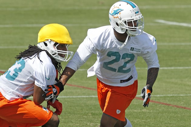 Dolphins Release OTA, Minicamp Dates; Hire New Trainer