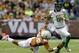 Oregon's Marcus Mariota (8) is pulled down by Texas' Caleb Bluiett (42) during the first quarter in the Valero Alamo Bowl NCAA college football game, Monday, Dec. 30, 2013, in San Antonio. (AP Photo/Eric Gay)