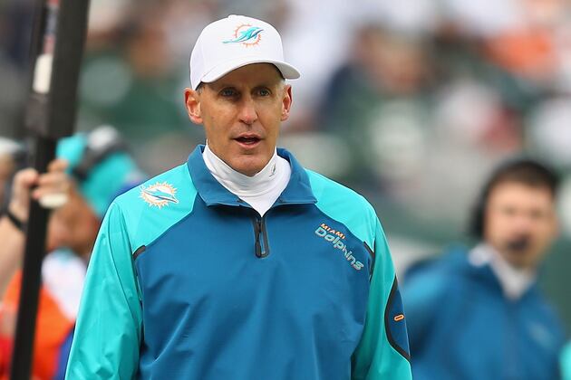 Hazing Will Be Thing of the Past for Dolphins