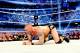 Randy Orton
