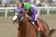 In a photo provided by Benoit Photo, California Chrome and jockey Victor Espinoza win the $250,000 California Cup Derby horse race, Saturday, Jan. 25, 2014, at Santa Anita in Arcadia, Calif. (AP Photo/Benoit Photo)