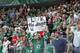 DALLAS, TX - APRIL 11: Dallas Stars fans celebrate a playoff birth clenching win for the first time in more than 5 seasons against the St. Louis Blues at the American Airlines Center on April 11, 2014 in Dallas, Texas. (Photo by Glenn James/NHLI via Getty Images)