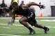 Former Michigan State cornerback Darqueze Dennard runs a drill during pro day for NFL scouts, Tuesday, March 11, 2014, in East Lansing, Mich. (AP Photo/Al Goldis)
