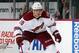 The Coyotes hoped for more offense from Martin Erat.