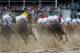 LOUISVILLE, KY - MAY 04: The field heads into the first turn during the 139th running of the Kentucky Derby at Churchill Downs on May 4, 2013 in Louisville, Kentucky. (Photo by Rob Carr/Getty Images)