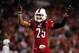 Dec 28, 2013; Orlando, FL, USA; Louisville Cardinals safety Calvin Pryor (25) waves his arms to the crowd in the fourth quarter as theCardinals beat the Miami Hurricanes 36-9 to win the Russell Athletic Bowl at Florida Citrus Bowl Stadium. Mandatory Credit: David Manning-USA TODAY Sports