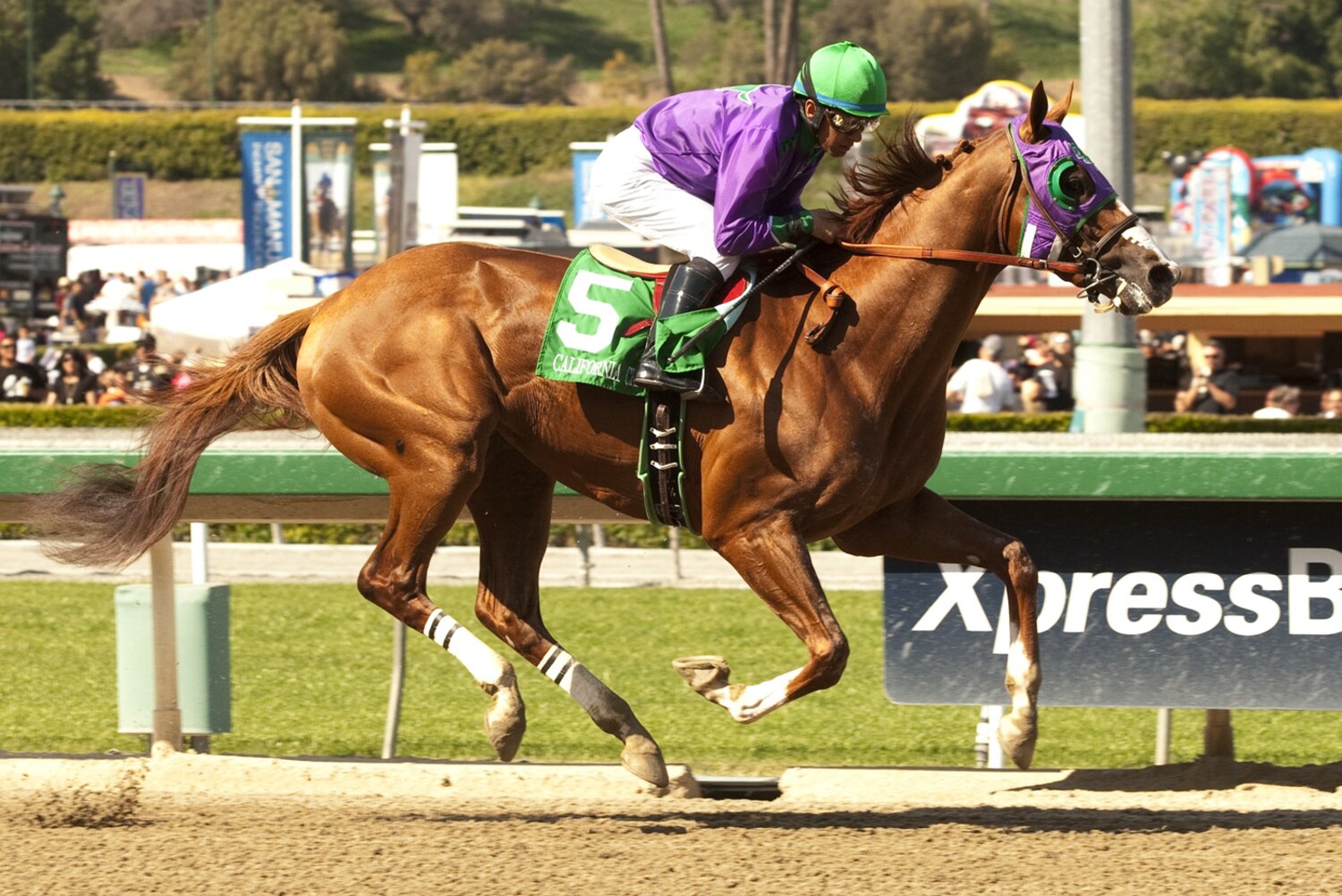 Kentucky Derby 2014 Contenders Early Look at FrontRunners in Triple
