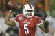 Louisville quarterback Teddy Bridgewater throws a pass during the first half of the Russell Athletic Bowl NCAA college football game against Miami in Orlando, Fla., Saturday, Dec. 28, 2013.(AP Photo/John Raoux)