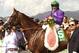 In a photo provided by Benoit Photo, California Chrome and jockey Victor Espinoza pose in the winner's circle after victory in the Santa Anita Derby horse race Saturday, April 5, 2014, at Santa Anita in Arcadia, Calif. (AP Photo/Benoit Photo)