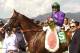 In a photo provided by Benoit Photo, California Chrome and jockey Victor Espinoza pose in the winner's circle after victory in the Santa Anita Derby horse race Saturday, April 5, 2014, at Santa Anita in Arcadia, Calif. (AP Photo/Benoit Photo)