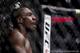 Phil Davis